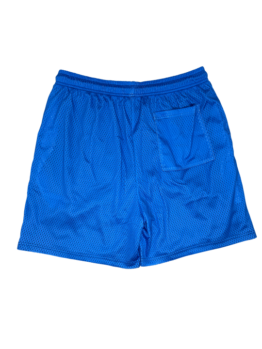 Thorned Basketball Shorts