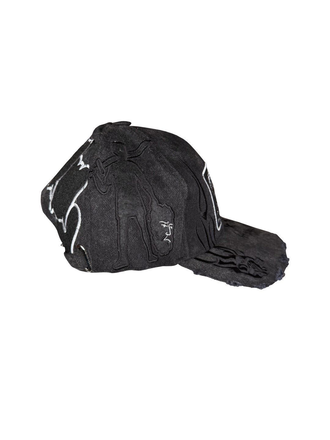 WTR's Racing Team Baseball Hat