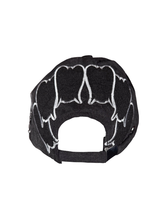 WTR's Racing Team Baseball Hat
